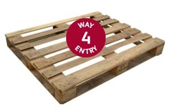 grade-2-3